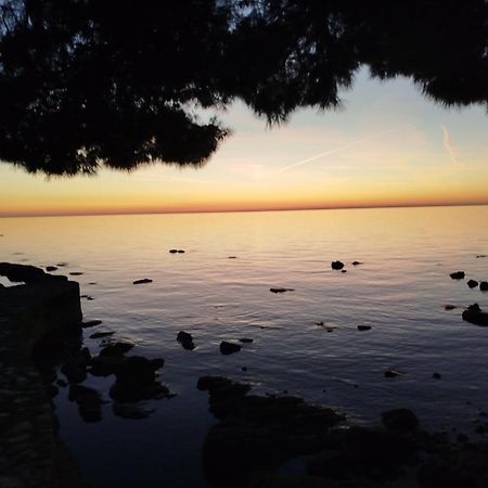 Jordanapartment Poreč Exteriér fotografie